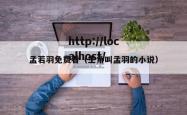 孟若羽免费看（主角叫孟羽的小说）
