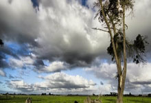 91网爆黑料的简单介绍